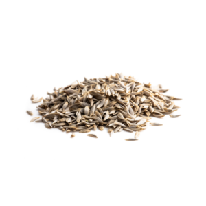Vegetable Seeds